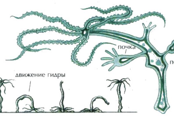 Кракен что это за маркетплейс