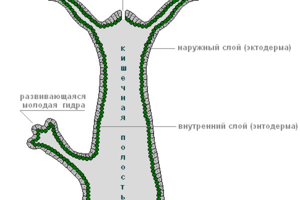 Кракен маркет только через тор