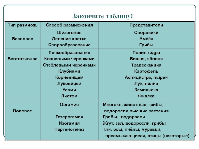 Ссылка на кракен тор kr2web in